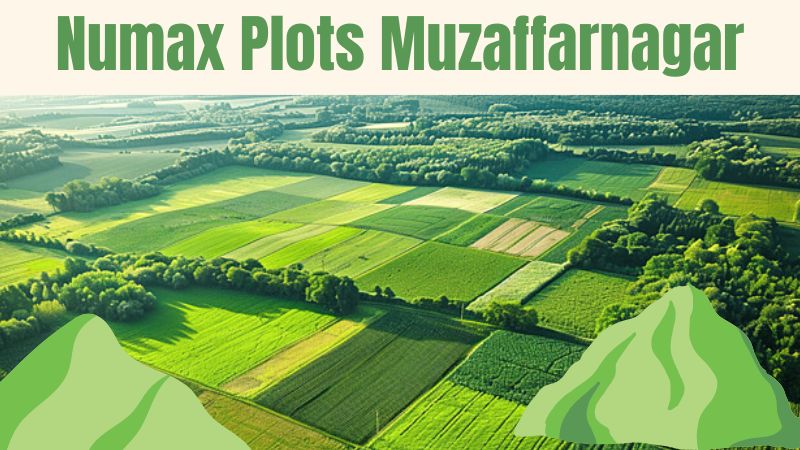 Numax Plots Muzaffarnagar